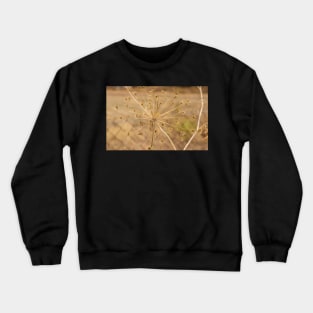 Seeds. Crewneck Sweatshirt